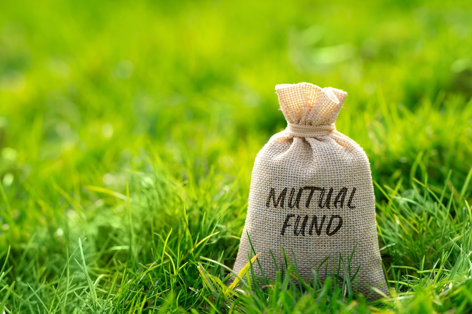 Mutual fund in a money bag.